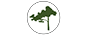 Lone Cypress Logo